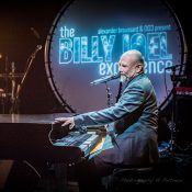 The Billy Joel Experience